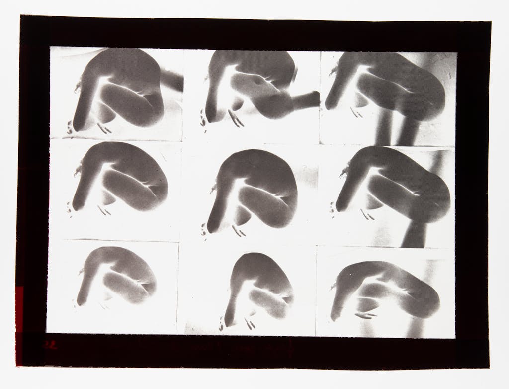 Woman Diary, 1974 - Photolithographs - © Paris Internationale